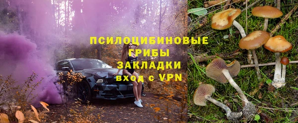 спайс Алексин