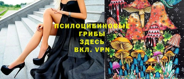 спайс Алексин