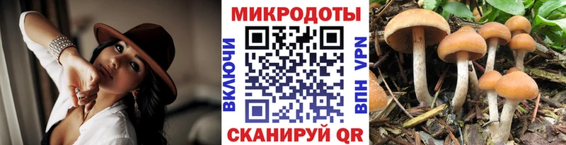 блэк спрут вход  наркошоп  Осташков  Псилоцибиновые грибы мицелий 