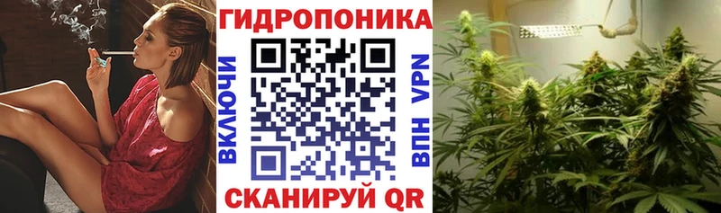 закладка blacksprut онион Каннабис конопля Осташков
